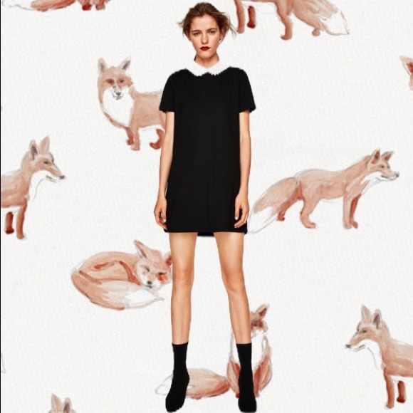 Zara Dresses & Skirts - Zara Trafaluc Pearl Collar Dress Sz S